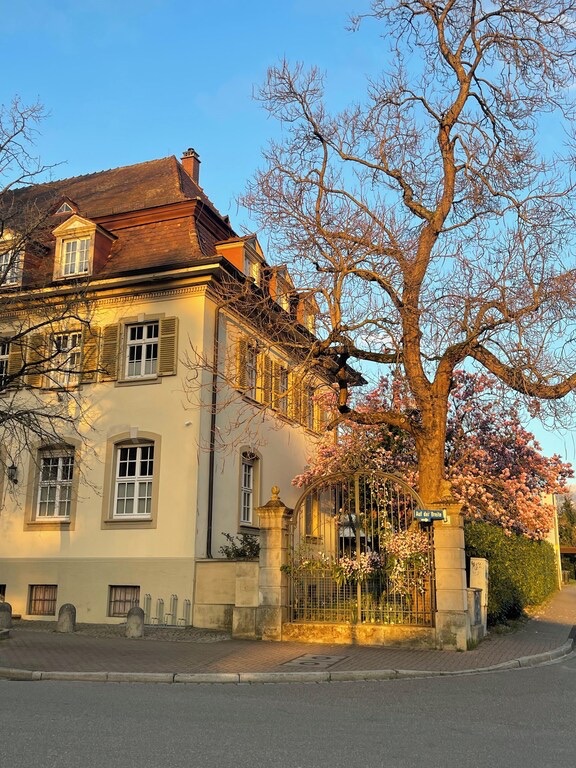 Ferienwohnung Friedrich, Friedrichstraße 8 in Müllheim